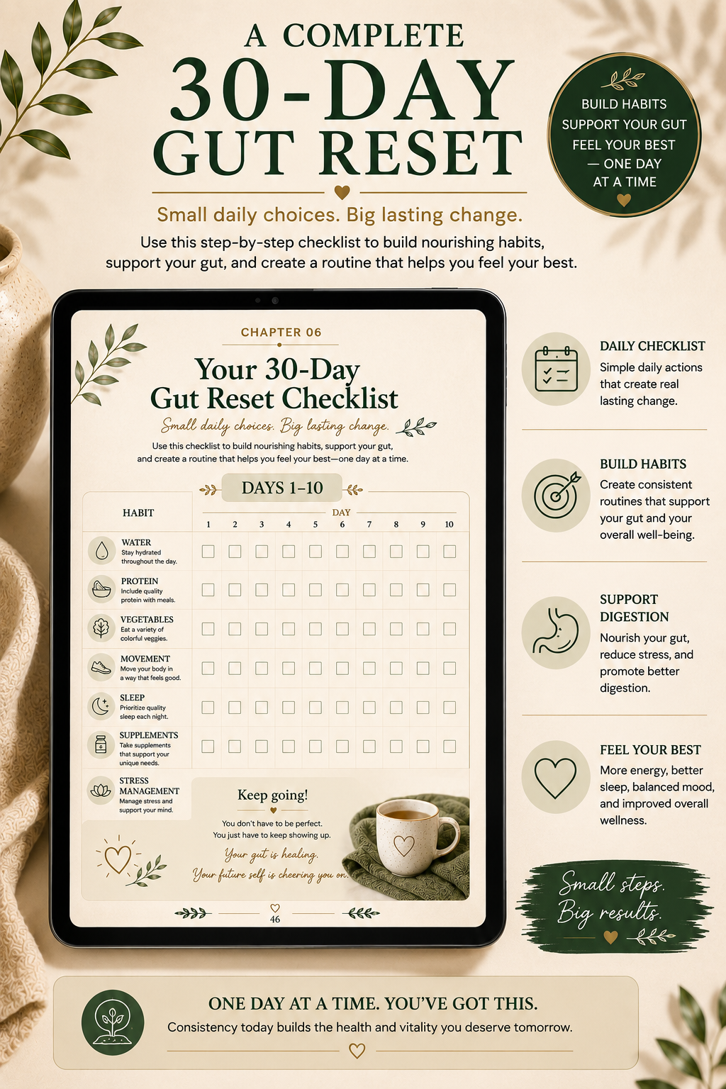 The Gut Repair Blueprint