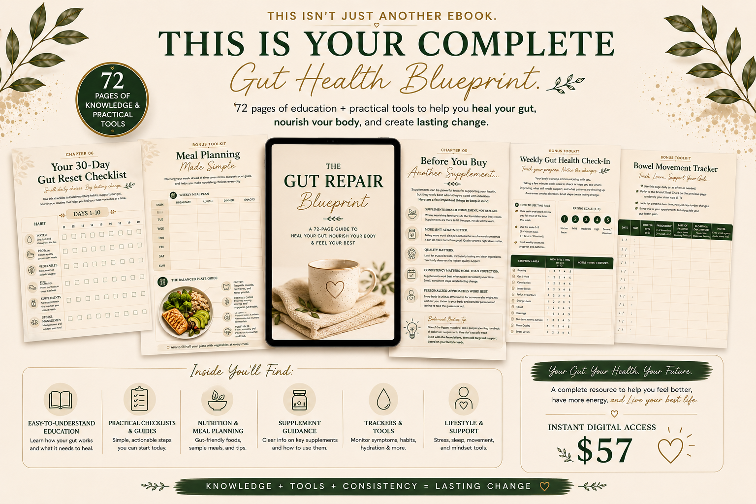 The Gut Repair Blueprint