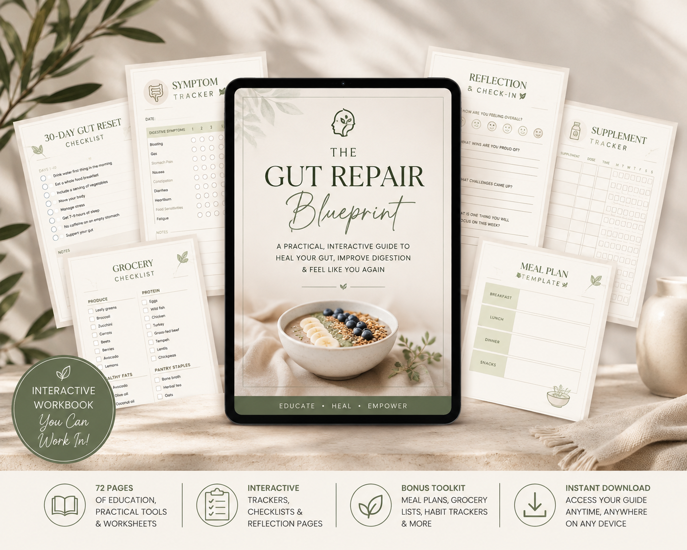 The Gut Repair Blueprint